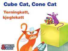 Terningkatt, kjeglekatt = Cube cat, cone cat
