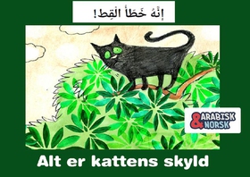 Alt er kattens skyld