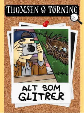 Alt som glitrer (ebok) av Kelly Townley