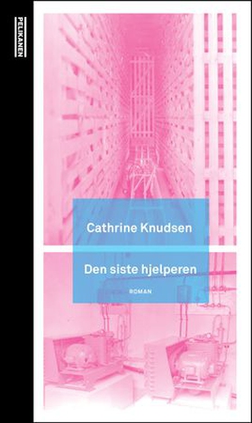 Den siste hjelperen (ebok) av Cathrine Knudse