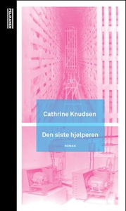 Den siste hjelperen (ebok) av Cathrine Knudse