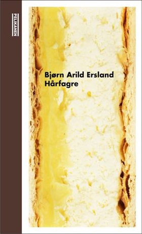 Hårfagre - roman (ebok) av Bjørn Arild Ersland
