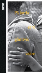 På jorda er vi glimtvis vakre (ebok) av Ocean