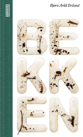 Bekken - roman (ebok) av Bjørn Arild Ersland