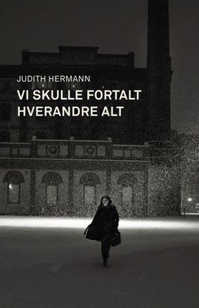 Vi skulle fortalt hverandre alt (ebok) av Judith Hermann