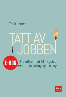 Tatt av jobben - fra utbrenthet til ny gnist, mestring og mening (ebok) av Torill Larsen