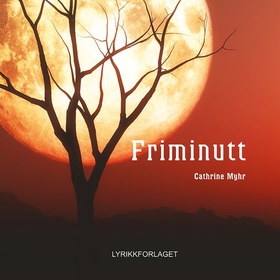 Friminutt (lydbok) av Cathrine Myhr, Cathrine