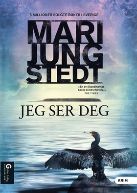 Jeg ser deg (ebok) av Mari Jungstedt