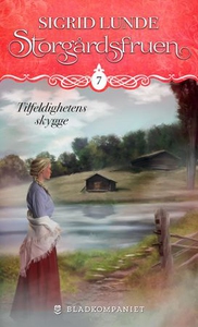 Tilfeldighetens skygge (ebok) av Sigrid Lunde