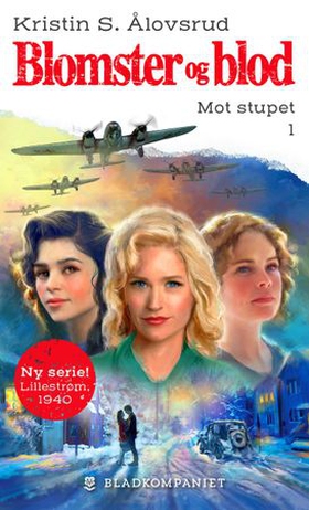 Mot stupet (ebok) av Kristin S. Ålovsrud