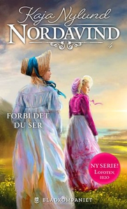 Forbi det du ser (ebok) av Kaja Nylund