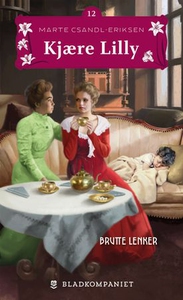Brutte lenker (ebok) av Marte Csandl-Eriksen