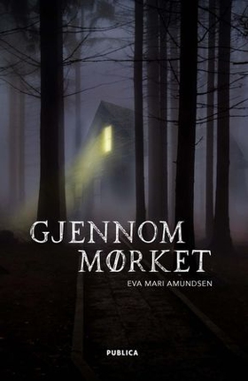 Gjennom mørket (ebok) av Eva Marí Amundsen