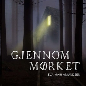 Gjennom mørket (lydbok) av Eva Marí Amundsen