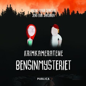 Bensinmysteriet (lydbok) av Erlend Liabø Sandvik