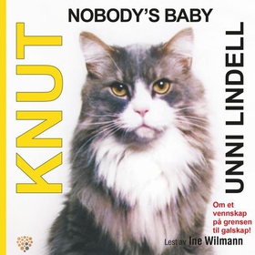 Knut - nobody's baby (lydbok) av Unni Lindell