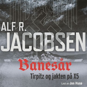 Banesår