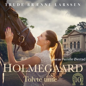 Tolvte time (lydbok) av Trude Brænne Larssen