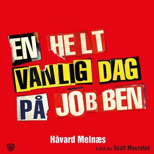 En helt vanlig dag på jobben (lydbok) av Håva