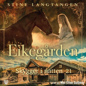 Skygger i natten (lydbok) av Stine Langtangen