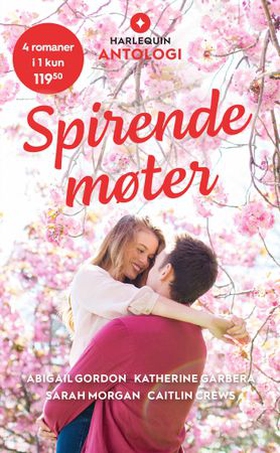 Spirende møter (ebok) av Abigail Gordon