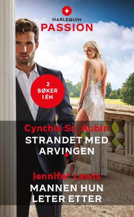 Strandet med arvingen ; Mannen hun leter etter