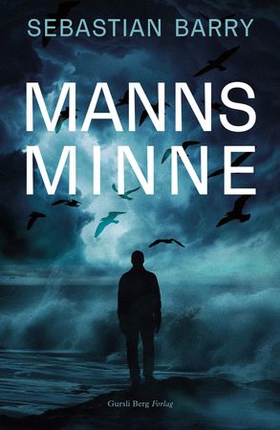 Manns minne (ebok) av Sebastian Barry