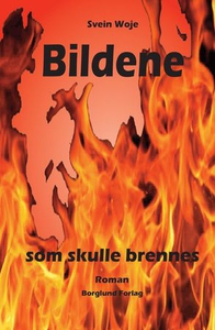 Bildene som skulle brennes (ebok) av Svein Wo