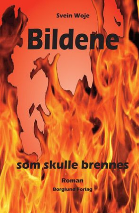 Bildene som skulle brennes - roman (ebok) av Svein Woje