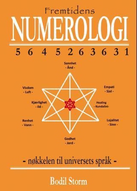 Fremtidens numerologi (ebok) av Bodil Storm