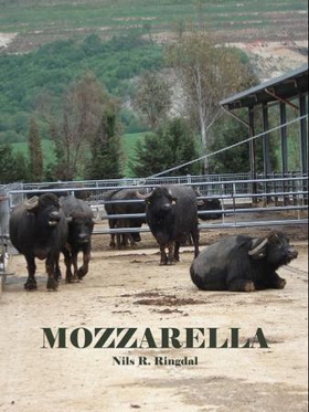 Mozzarella - roman (ebok) av Nils R. Ringdal
