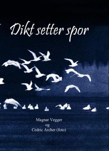 Dikt setter spor (ebok) av Magnar Vegger