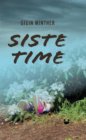Siste time (ebok) av Stein Winther