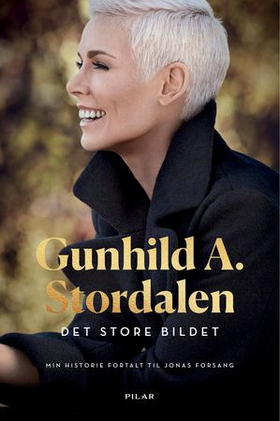 Det store bildet (ebok) av Gunhild A. Stordal