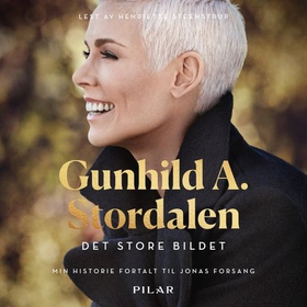 Det store bildet (lydbok) av Gunhild A. Stordalen