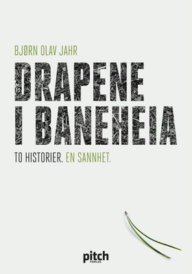 Drapene i Baneheia (ebok) av Bjørn Olav Jahr