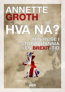 Hva nå? (ebok) av Annette Groth
