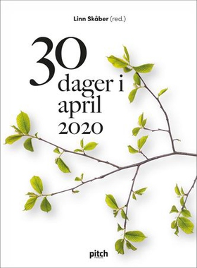 30 dager i april 2020 (ebok) av Linn Skåber
