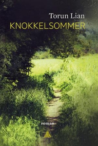 Knokkelsommer (ebok) av Torun Lian