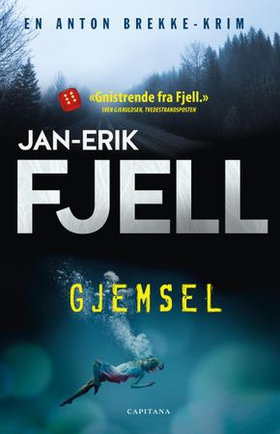 Gjemsel (ebok) av Jan-Erik Fjell