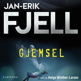 Gjemsel (lydbok) av Jan-Erik Fjell