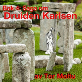 Saga om Druiden Karlsen (lydbok) av Tor Moltu