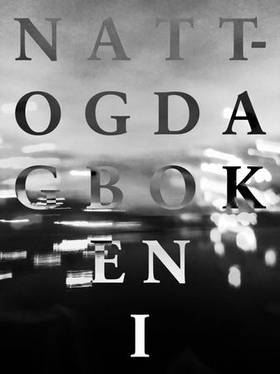 Natt- og dagboken I - filosofiske smuler for alle og ingen (ebok) av Ulv Ulv Tommy Skoglund