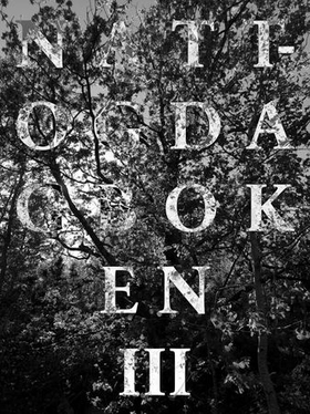Natt- og dagboken III - filosofiske smuler for alle og ingen (ebok) av Ulv Ulv Tommy Skoglund