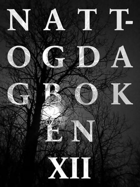 Natt- og dagboken XII - filosofiske smuler for alle og ingen (ebok) av Ulv Ulv Tommy Skoglund