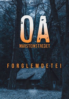Forglemdetei (ebok) av Odd Arne Støstad Marsteinstredet