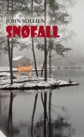 Snøfall (ebok) av John Sollien