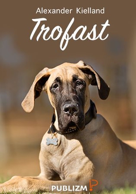 Trofast
