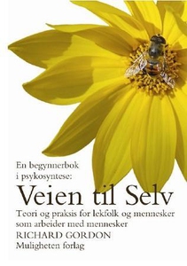 Veien til selv (ebok) av Richard Gordon