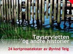Tøyservietten og andre historier - 24 kortprosatekster (ebok) av Øyvind Teig